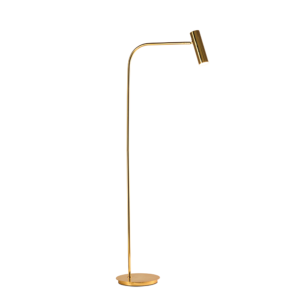 Modern Gold Finish Floor Lamp With Spotlight